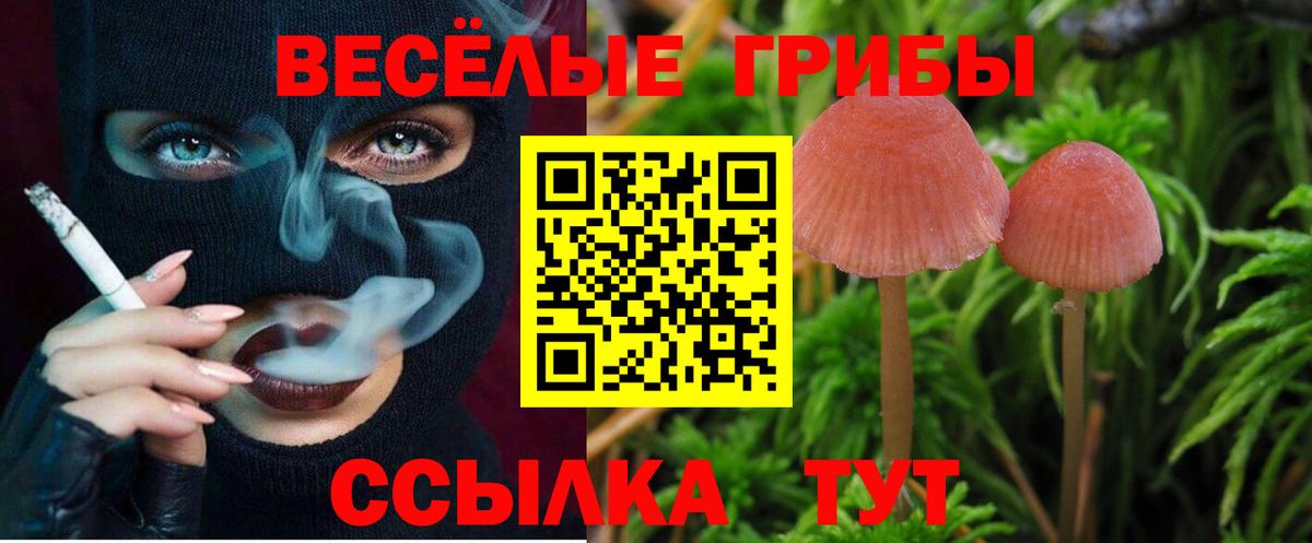 Псилоцибиновые грибы Magic Shrooms Тавда