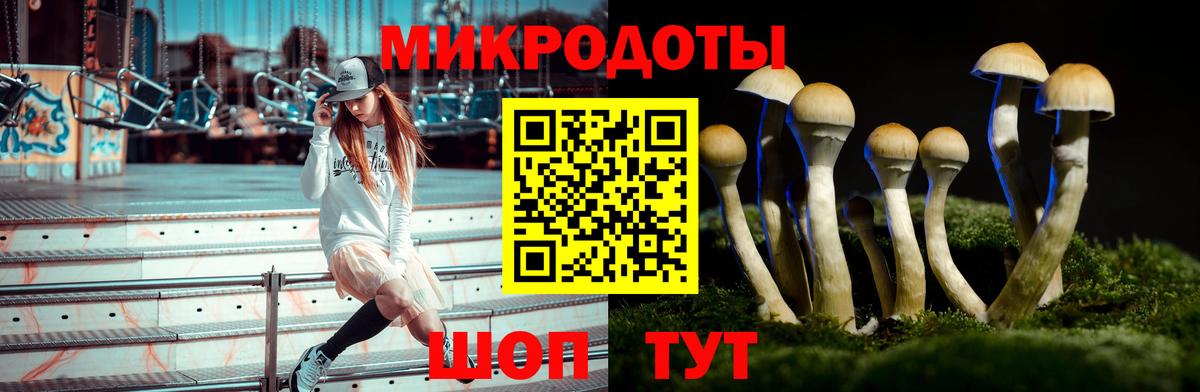 Тавда  Галлюциногенные грибы мухоморы  Вход с VPN 