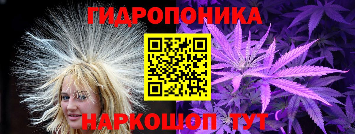 Каннабис ГИДРОПОН  Марихуана семена  Тавда  Канабис тримм  Вход с VPN  Бошки Шишки Bruce Banner 
